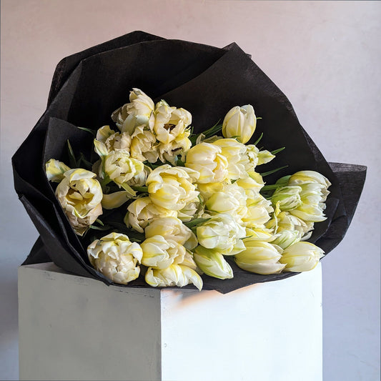 A single species arrangement of striped double tulips in white, yellow and green shades. Wrapped in black wrapping, placed on top of a white pillar.