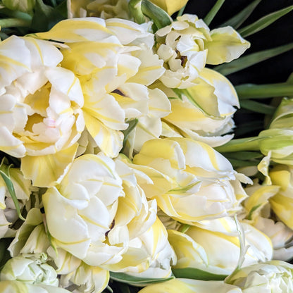 Double Tulips En Masse Wrap - Bouquet - Floratique Florals