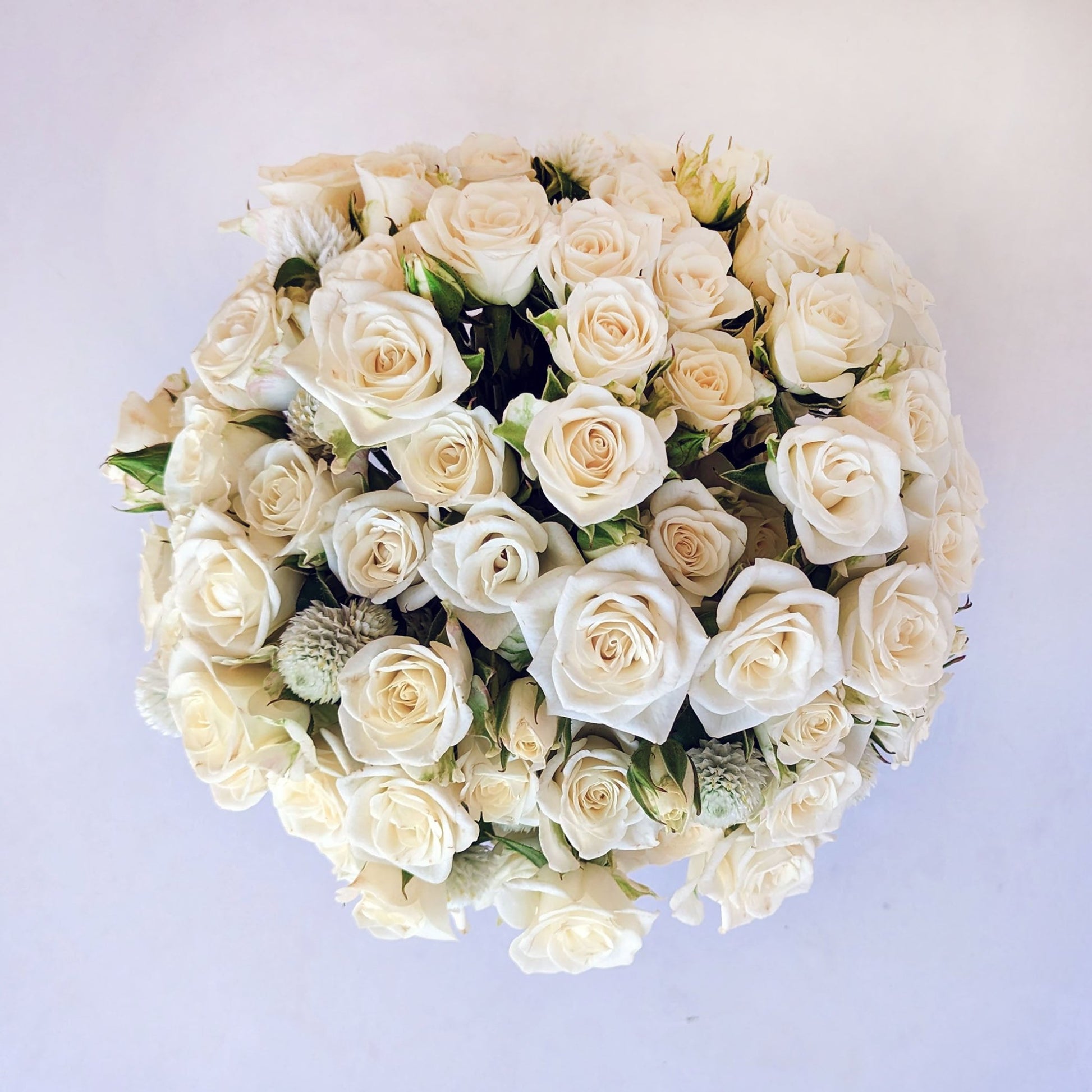 Spray Roses En Masse Vase Arrangement - Vase Arrangement - Floratique Florals