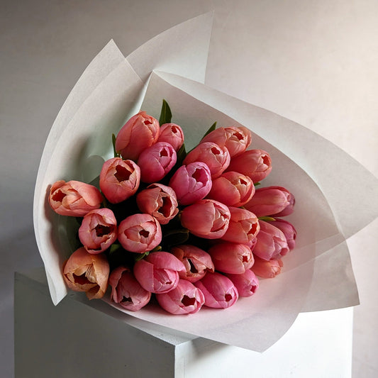 A bunch of pink tulips in white wrapping